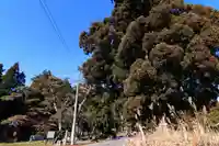 御札神社の景色