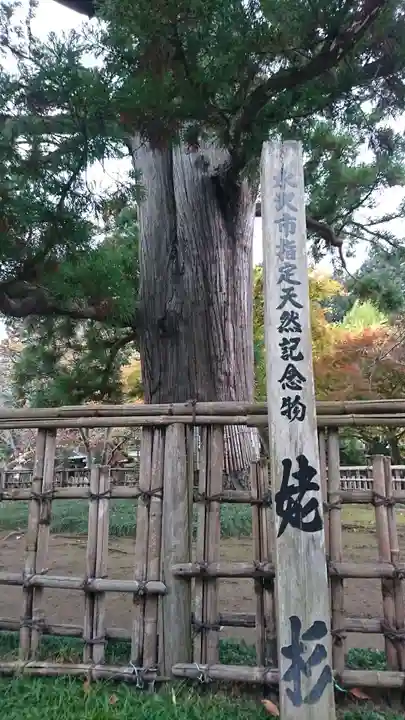日高神社の自然