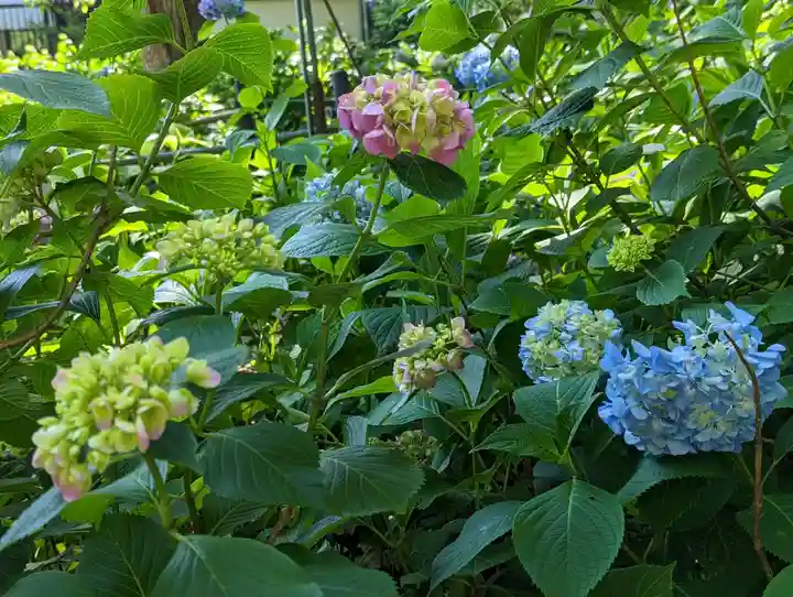 藤森神社(京都府)