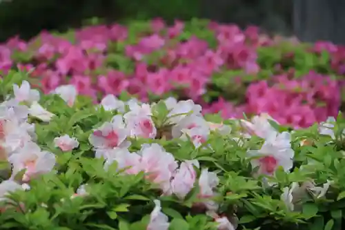 豊景神社の庭園
