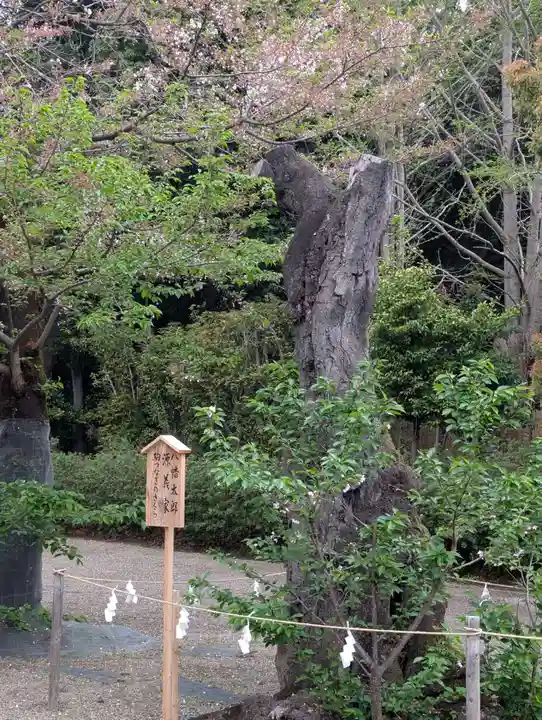 鷲宮神社(埼玉県)