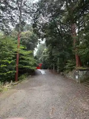 南宮稲荷大明神の{uncategorized: "未分類", other: "その他", undefined: "問題あり", building: "その他建物", grave: "お墓", sacred_gate: "鳥居", guardian: "狛犬", statue: "像", buddha: "仏像", history: "歴史", nature: "自然", garden: "庭園", animal: "動物", pagoda: "塔", temizu: "手水舎", mountain_gate: "山門・神門", sanctuary: "本殿・本堂", subordinate: "末社・摂社", art: "芸術", scenery: "景色", jizo: "地蔵", ema: "絵馬", goshuin: "御朱印", omikuji: "おみくじ", items: "授与品その他", amulet: "お守り", goshuincho: "御朱印帳", eats: "食事", festival: "お祭り", votive_dance: "神楽", shichigosan: "七五三参", wedding: "結婚式", experience: "体験その他", initially: "初詣", around: "周辺", anti_infection: "感染症対策"}