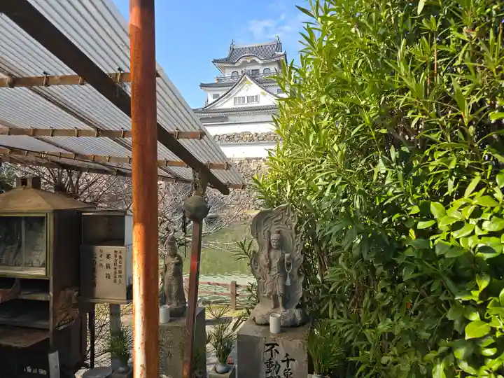 黒長龍王(大阪府)