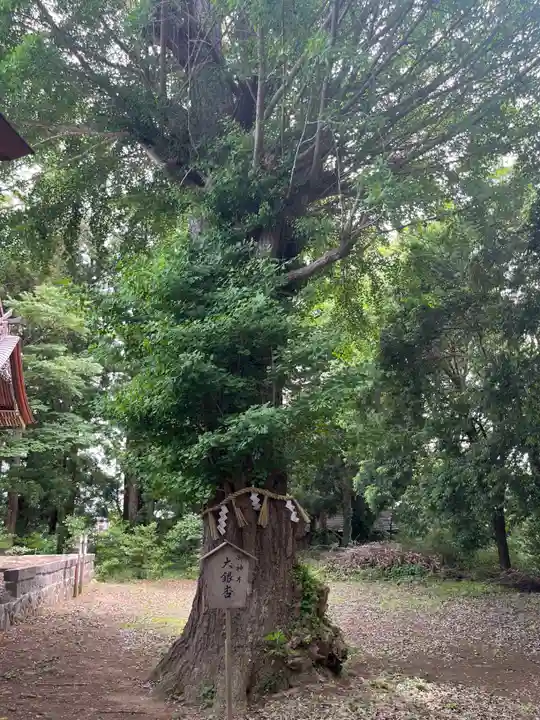 津島神社(宮城県)