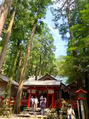 椿大神社の本殿・本堂