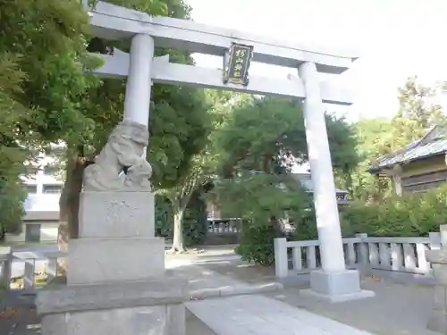 大棚・中川杉山神社の鳥居