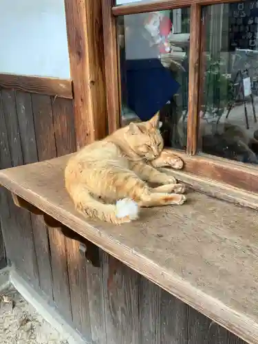 大江神社の動物