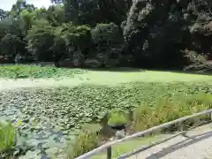 勧修寺(京都府)