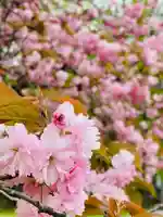 守りの神 藤基神社の庭園