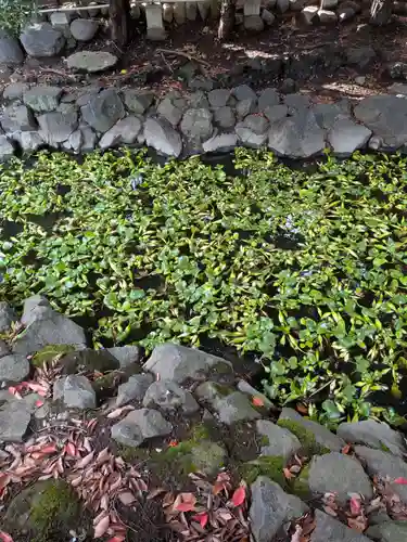 七渡神社（七渡弁天社）(東京都)