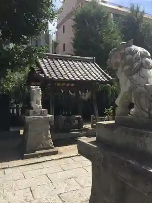 柏神社の狛犬