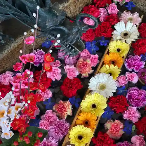 札幌諏訪神社の手水