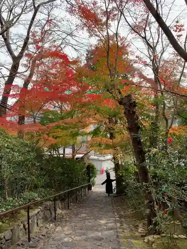 華厳寺（鈴虫寺）(京都府)