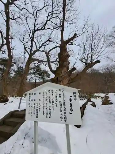 那須温泉神社(栃木県)