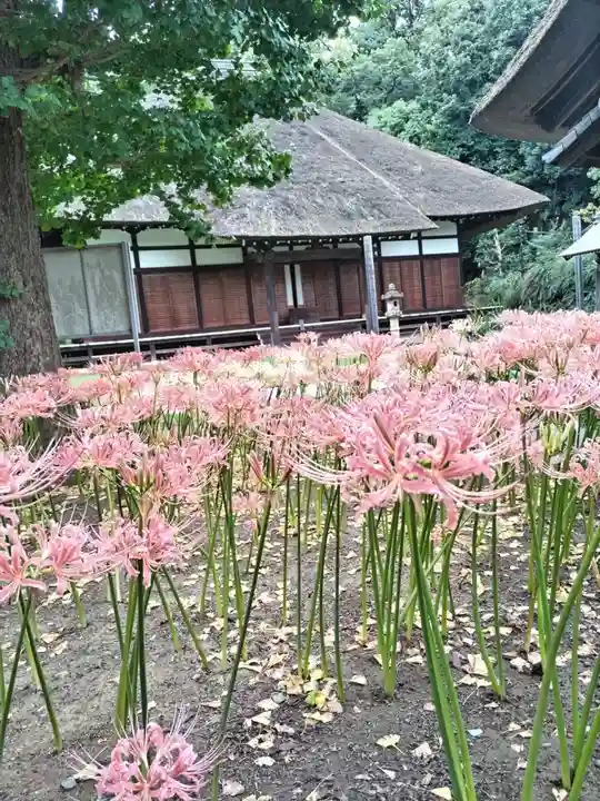 横浜 西方寺(神奈川県)