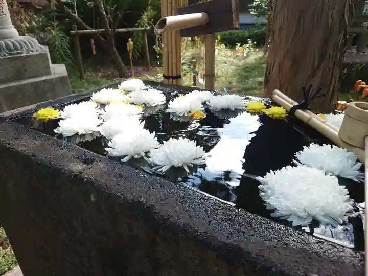 常立寺(神奈川県)