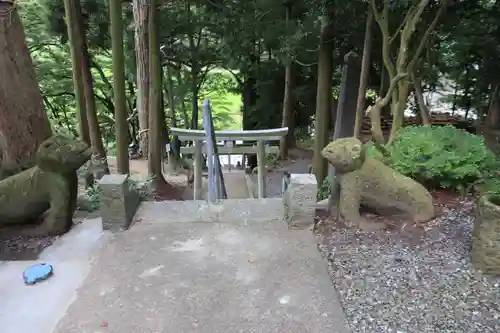 阿久津「田村神社」（郡山市阿久津町）旧社名：伊豆箱根三嶋三社の狛犬