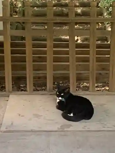 御嶽神社の動物