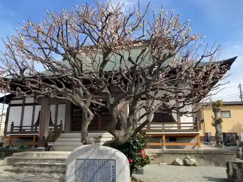 薬王寺の本殿・本堂