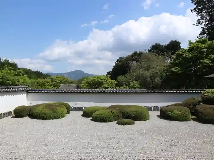 正伝護国禅寺(正伝寺・正傳寺)(京都府)
