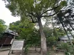 櫛玉比女命神社の自然