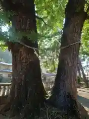 室生神社(神奈川県)