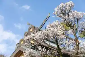 出雲大社相模分祠の自然 2024年02月04日(日)〜(2024年02月10日(土) 08時58分22秒投稿)