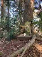 出流大山神社の{uncategorized: "未分類", other: "その他", undefined: "問題あり", building: "その他建物", grave: "お墓", sacred_gate: "鳥居", guardian: "狛犬", statue: "像", buddha: "仏像", history: "歴史", nature: "自然", garden: "庭園", animal: "動物", pagoda: "塔", temizu: "手水舎", mountain_gate: "山門・神門", sanctuary: "本殿・本堂", subordinate: "末社・摂社", art: "芸術", scenery: "景色", jizo: "地蔵", ema: "絵馬", goshuin: "御朱印", omikuji: "おみくじ", items: "授与品その他", amulet: "お守り", goshuincho: "御朱印帳", eats: "食事", festival: "お祭り", votive_dance: "神楽", shichigosan: "七五三参", wedding: "結婚式", experience: "体験その他", initially: "初詣", around: "周辺", anti_infection: "感染症対策"}