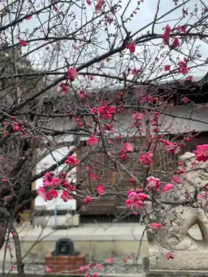 等乃伎神社(大阪府)