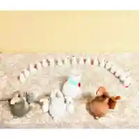 彌彦神社 (伊夜日子神社)のおみくじ