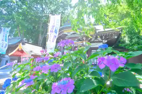 川越八幡宮(埼玉県)