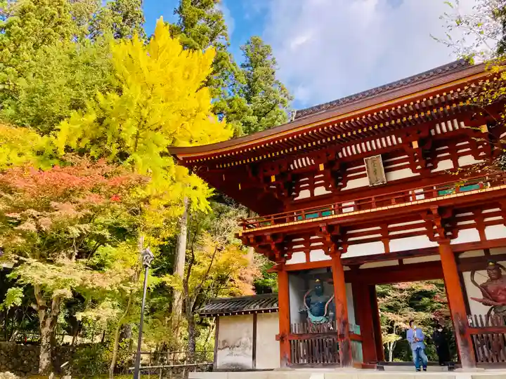 室生寺の山門・神門