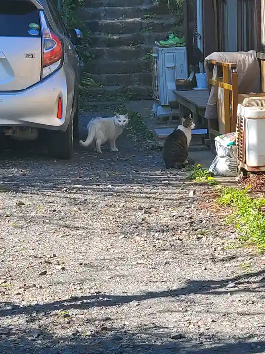 潮音寺(栃木県)