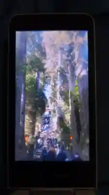 箱根神社のその他建物