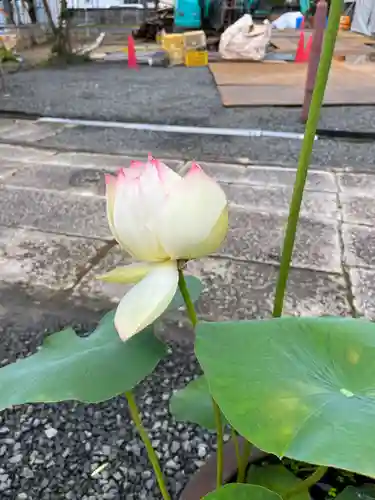 大光寺(大阪府)