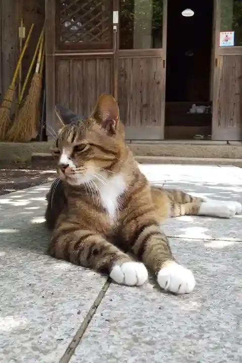 八幡神社の動物