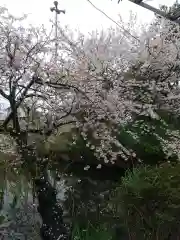 鷲神社(埼玉県)