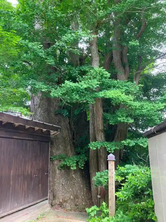 円覚寺(青森県)