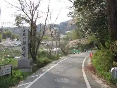 勝持寺（花の寺）の周辺