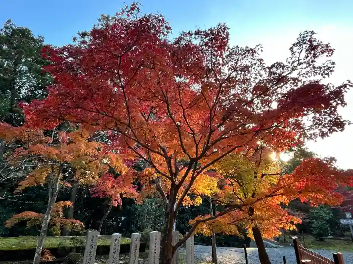 光明寺(粟生光明寺)(京都府)