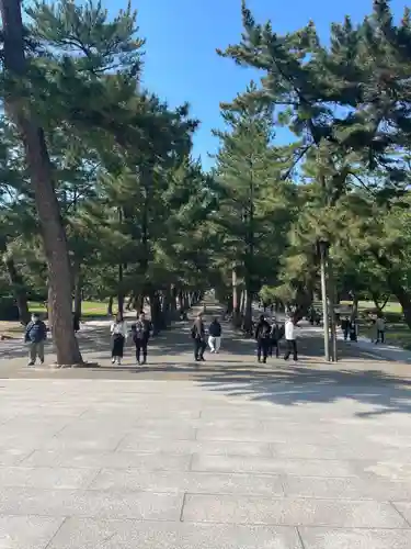 出雲大社(島根県)