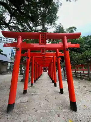 荒熊白髭稲荷神社の鳥居
