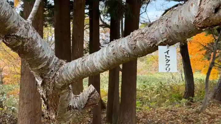 矢不来天満宮(北海道)