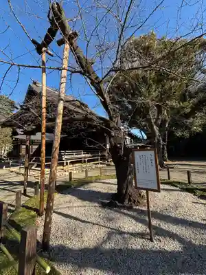 靖國神社(東京都)