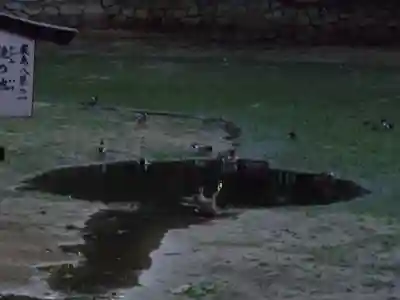 厳島神社(広島県)