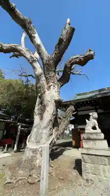 金岡神社(大阪府)