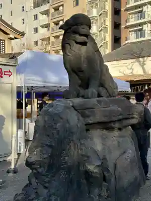 浅草神社の狛犬
