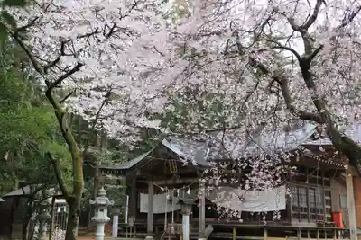 王宮伊豆神社の本殿・本堂