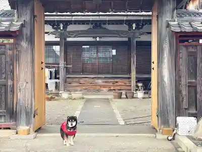 光明寺(滋賀県)