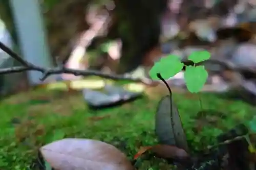 馬場本村地蔵堂の自然